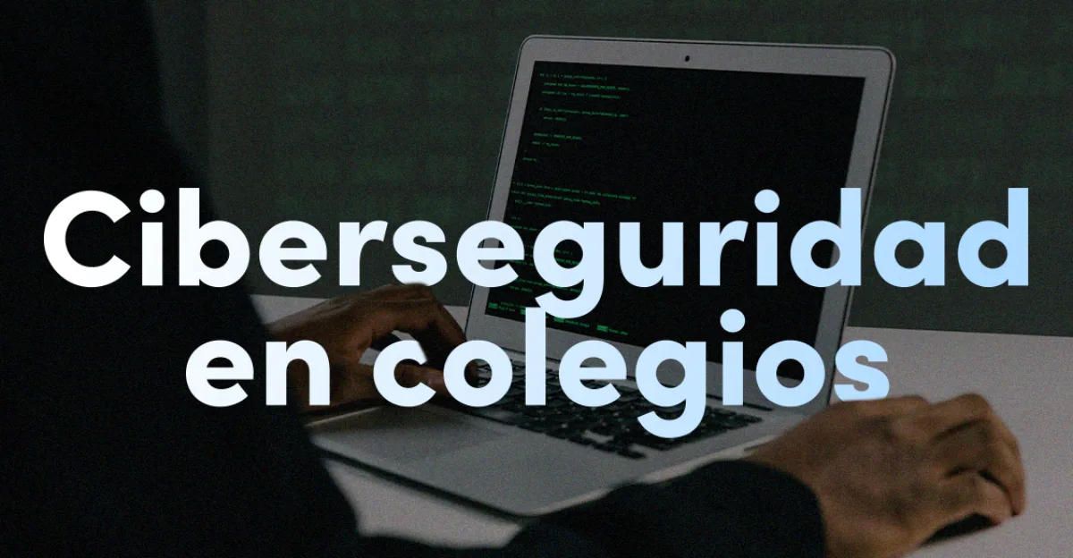Person tippt in ein Software-Terminal auf einem Laptop